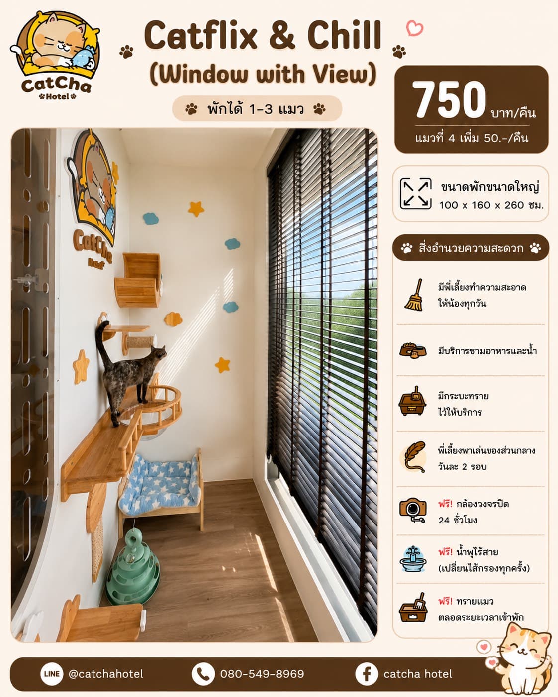 ห้องพักแมว Catflix & Chill โรงแรมแมว CatCha Hotel บางนา เทพารักษ์