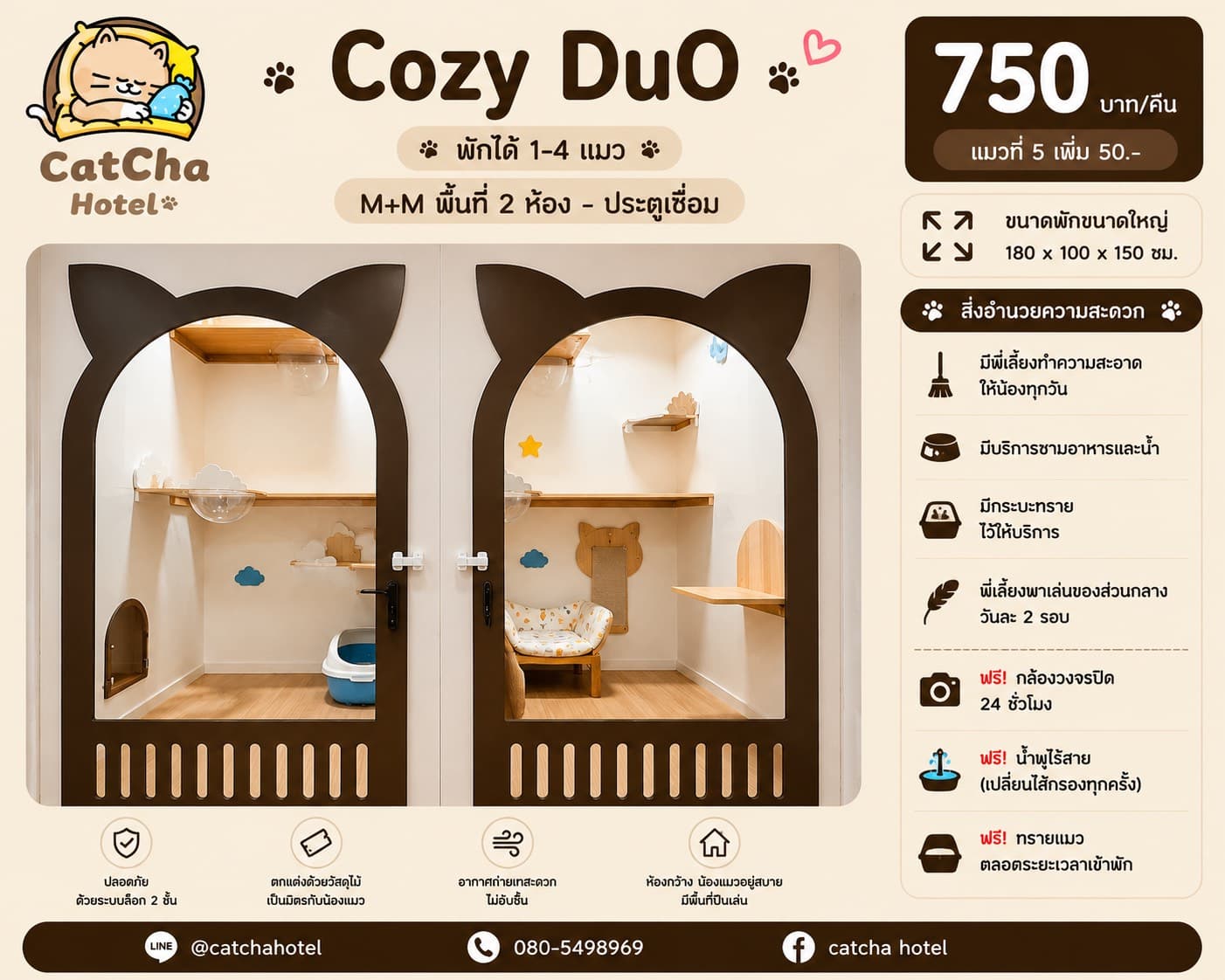 ห้องพักแมว Cozy Duo โรงแรมแมว CatCha Hotel บางนา เทพารักษ์