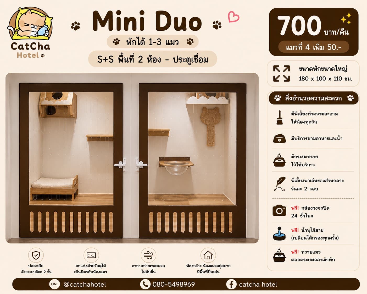 ห้องพักแมว Mini Duo โรงแรมแมว CatCha Hotel บางนา เทพารักษ์