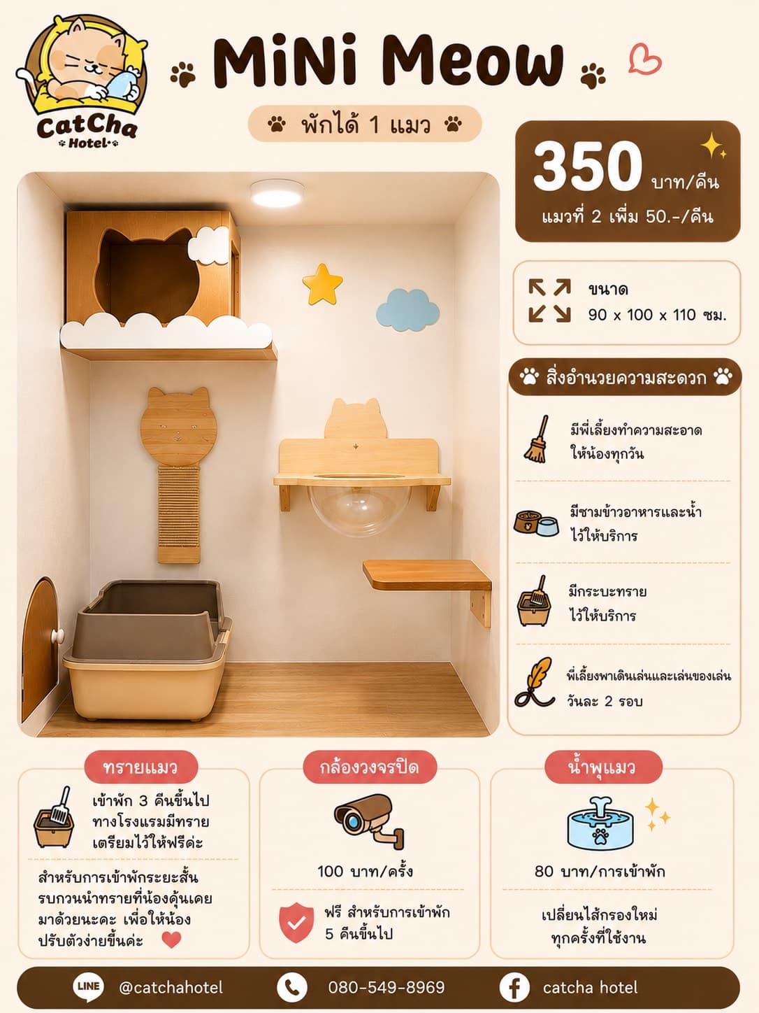 ห้องพักแมว MiNi Meow โรงแรมแมว CatCha Hotel บางนา เทพารักษ์