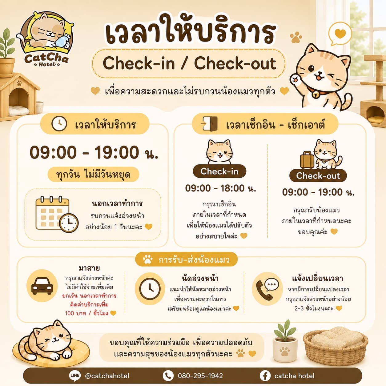 เวลาให้บริการ CatCha Hotel 09:00-19:00 ทุกวัน เช็กอิน 09:00-18:00 เช็กเอาต์ 09:00-19:00