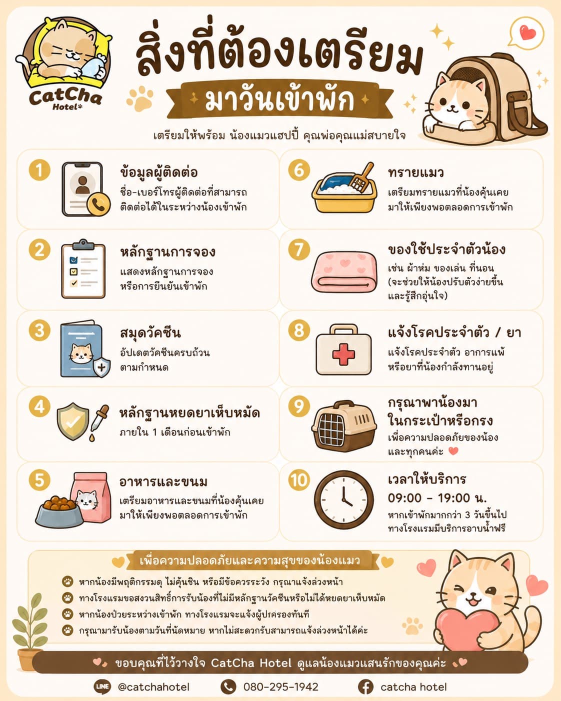 สิ่งที่ต้องเตรียมมาวันเข้าพักโรงแรมแมว สมุดวัคซีน อาหาร ทรายแมว ของใช้ประจำตัว กระเป๋าหรือกรง