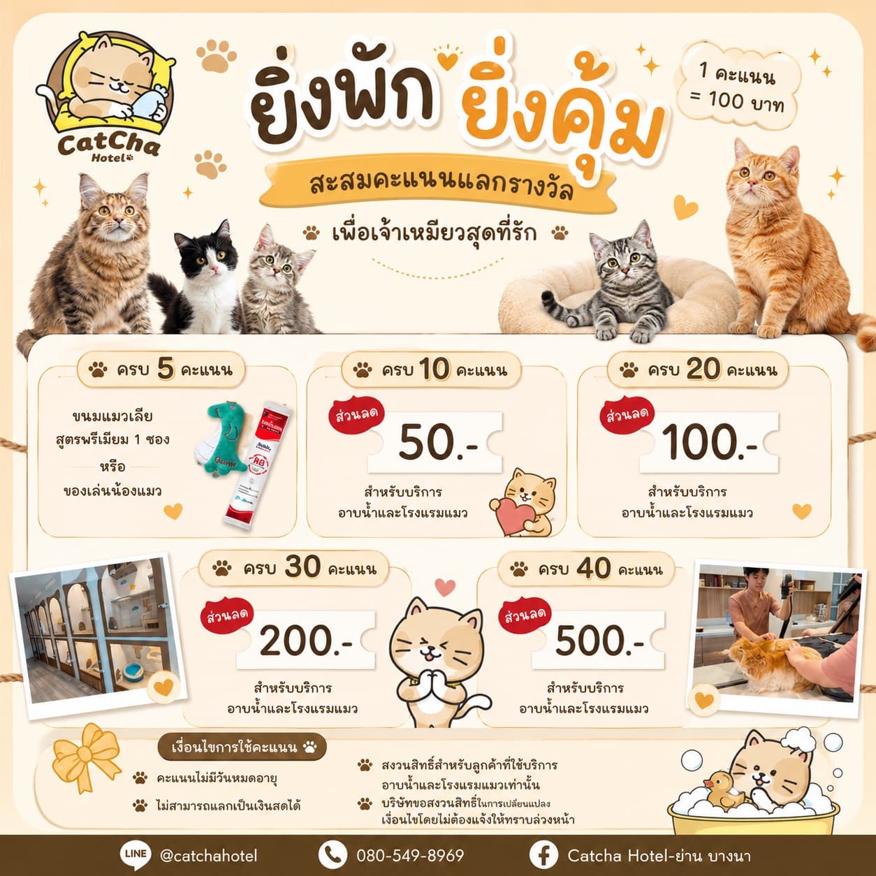 สะสมคะแนนแลกรางวัล CatCha Hotel ครบ 5 คะแนนรับขนมแมวเลีย แลกส่วนลดสูงสุด 500 บาท