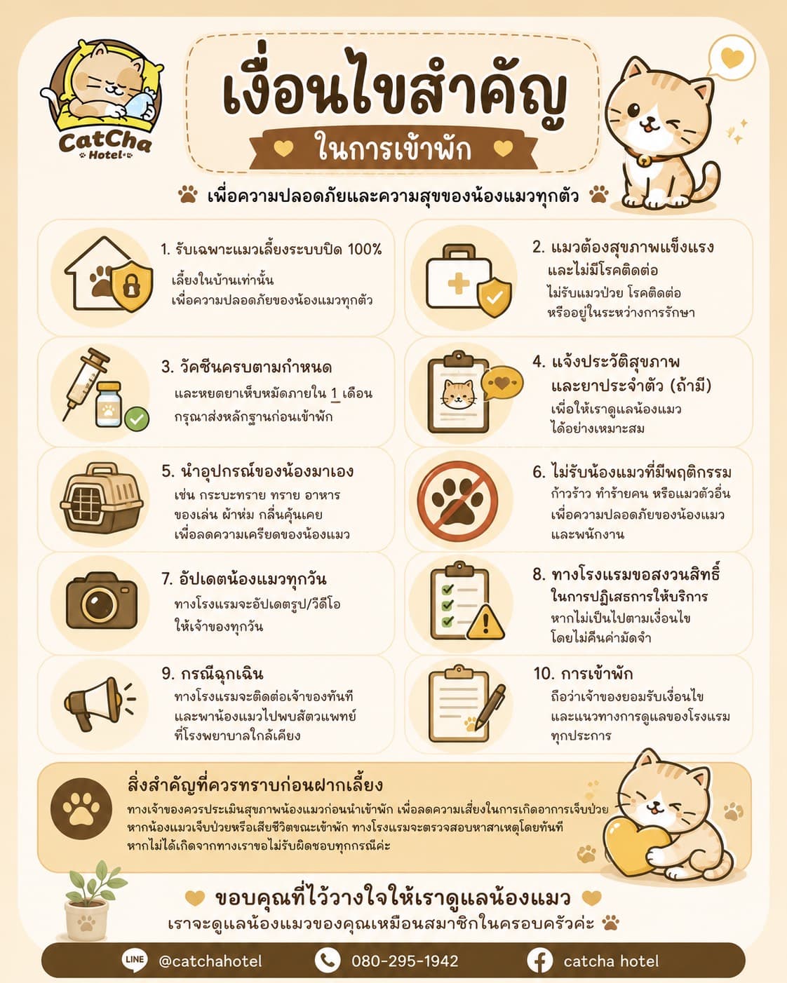 เงื่อนไขสำคัญในการเข้าพักโรงแรมแมว CatCha Hotel รับเฉพาะแมวเลี้ยงระบบปิด สุขภาพแข็งแรง อัปเดตรูปทุกวัน