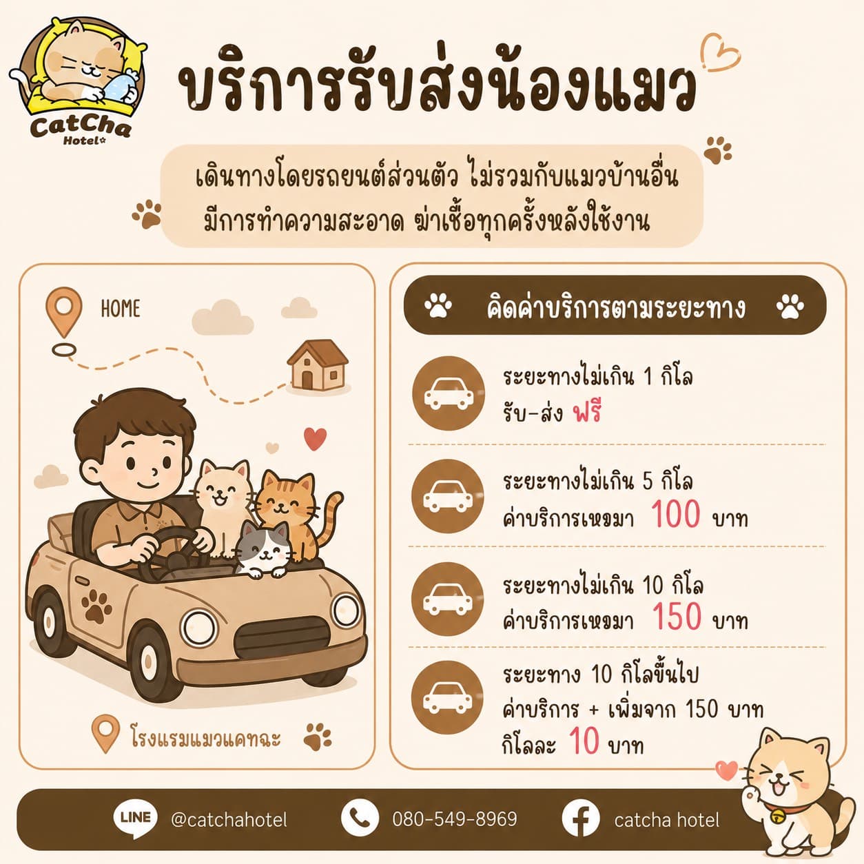 บริการรับส่งน้องแมว CatCha Hotel เดินทางโดยรถยนต์ส่วนตัว คิดค่าบริการตามระยะทาง